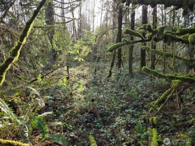 0 NKA Moore Road , Elma, WA 98541 - Photo 7