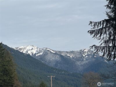 31319 555th Street E, Ashford, WA 98304 - Photo 14