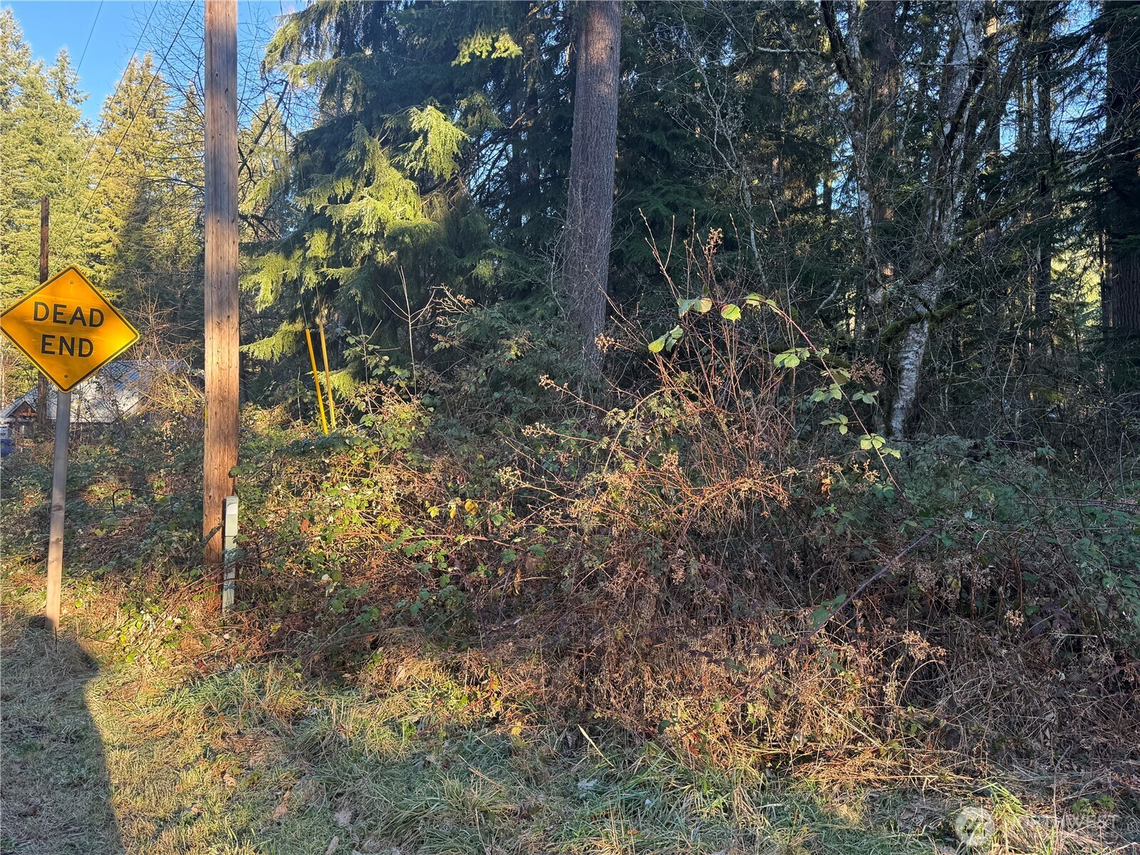 31319 555th Street E, Ashford, WA 98304