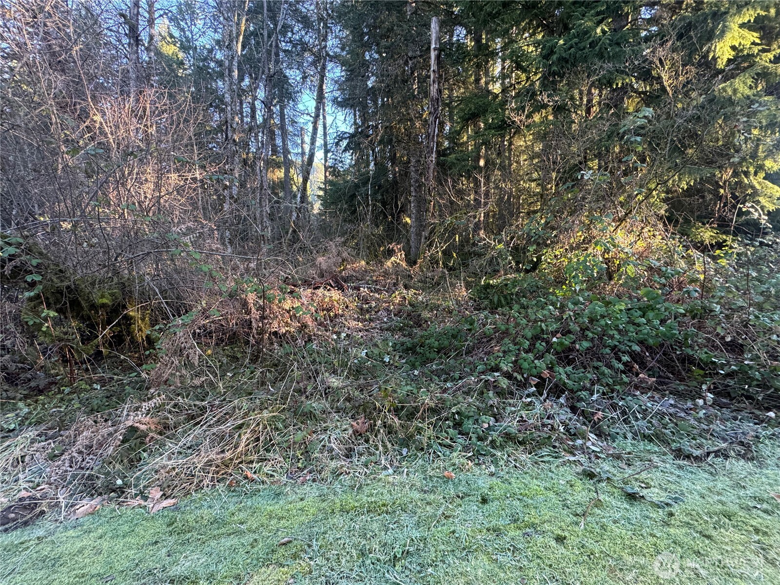 31319 555th Street E, Ashford, WA 98304