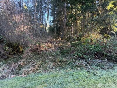 31319 555th Street E, Ashford, WA 98304 - Photo 7