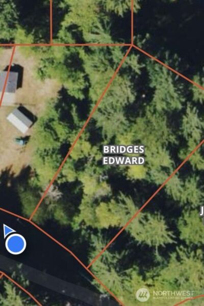 31319 555th Street E, Ashford, WA 98304 - Photo 8