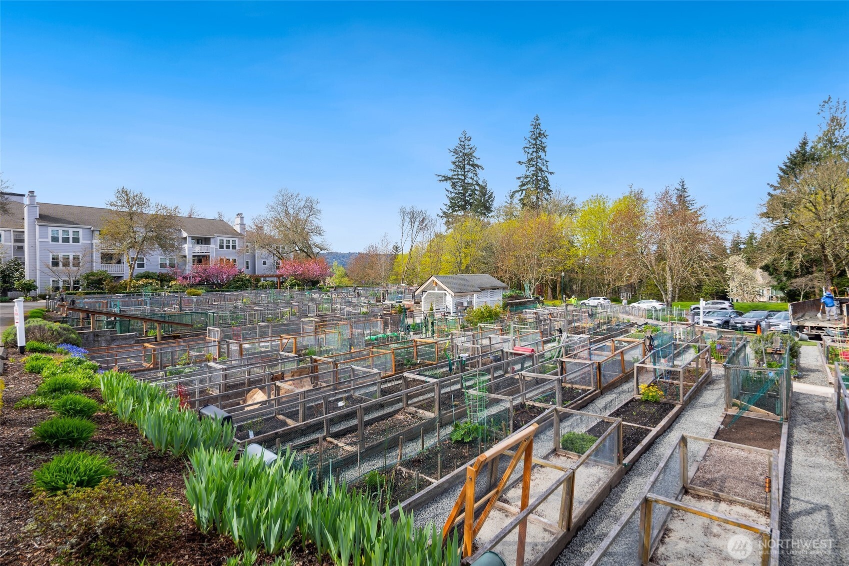 4084 220th Place SE #1038, Issaquah, WA 98029