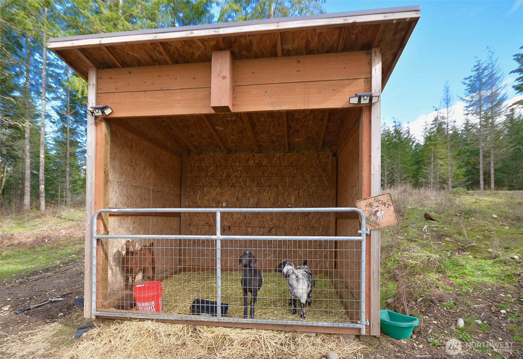 20331 167th Lane SE, Yelm, WA 98597