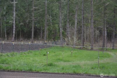 20331 167th Lane SE, Yelm, WA 98597 - Photo 24