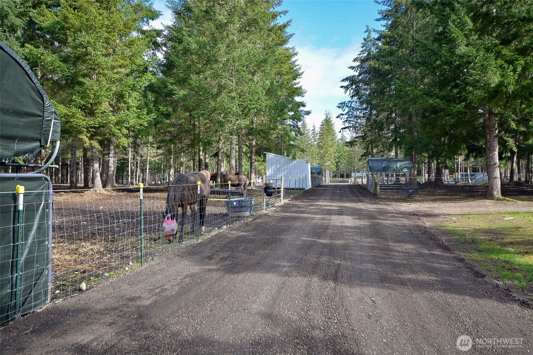 20331 167th Lane SE, Yelm, WA 98597