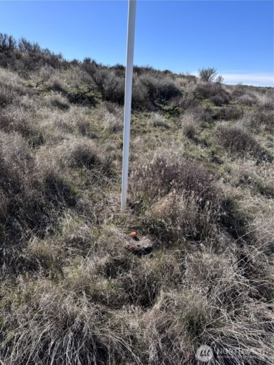 154 Eagle Springs Ranch , Wilson Creek, WA 98860 - Photo 2