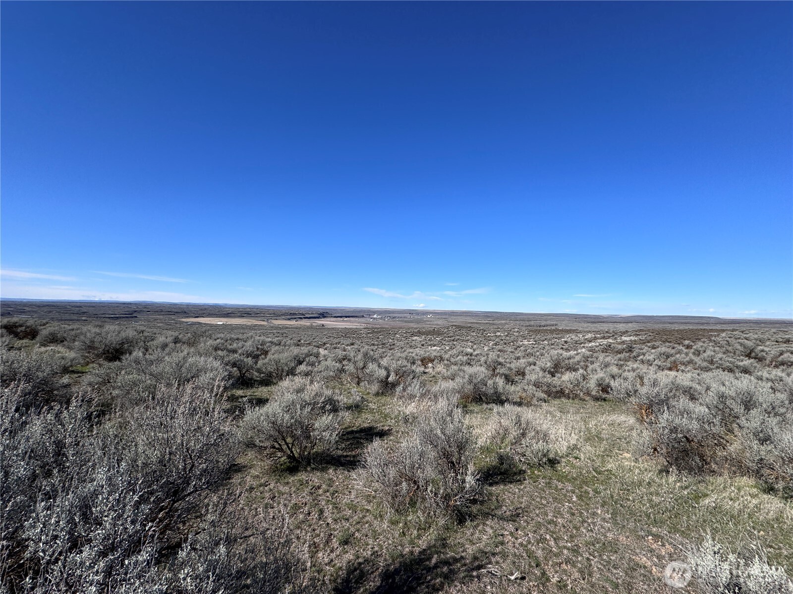 154 Eagle Springs Ranch , Wilson Creek, WA 98860