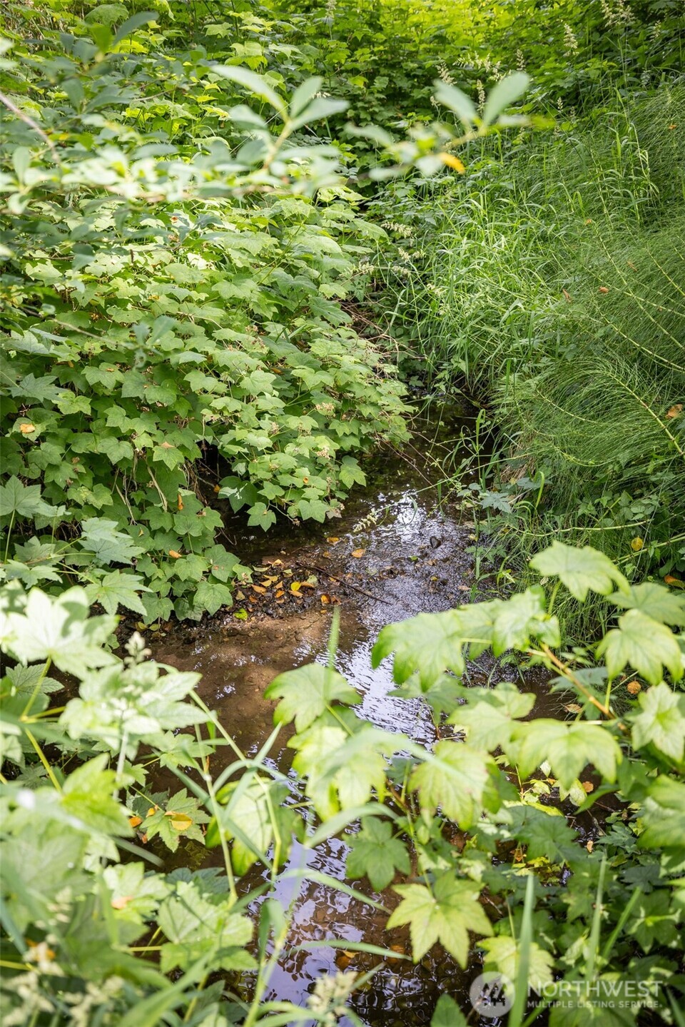 273 Pearce Road , Port Angeles, WA 98362