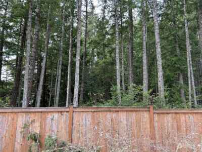 21728 Urdahl Road NW, Poulsbo, WA 98370 - Photo 5