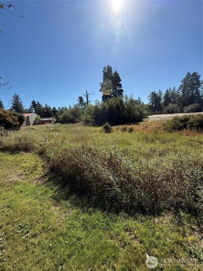 0 245th Lane , Ocean Park, WA 98640 - Photo 2