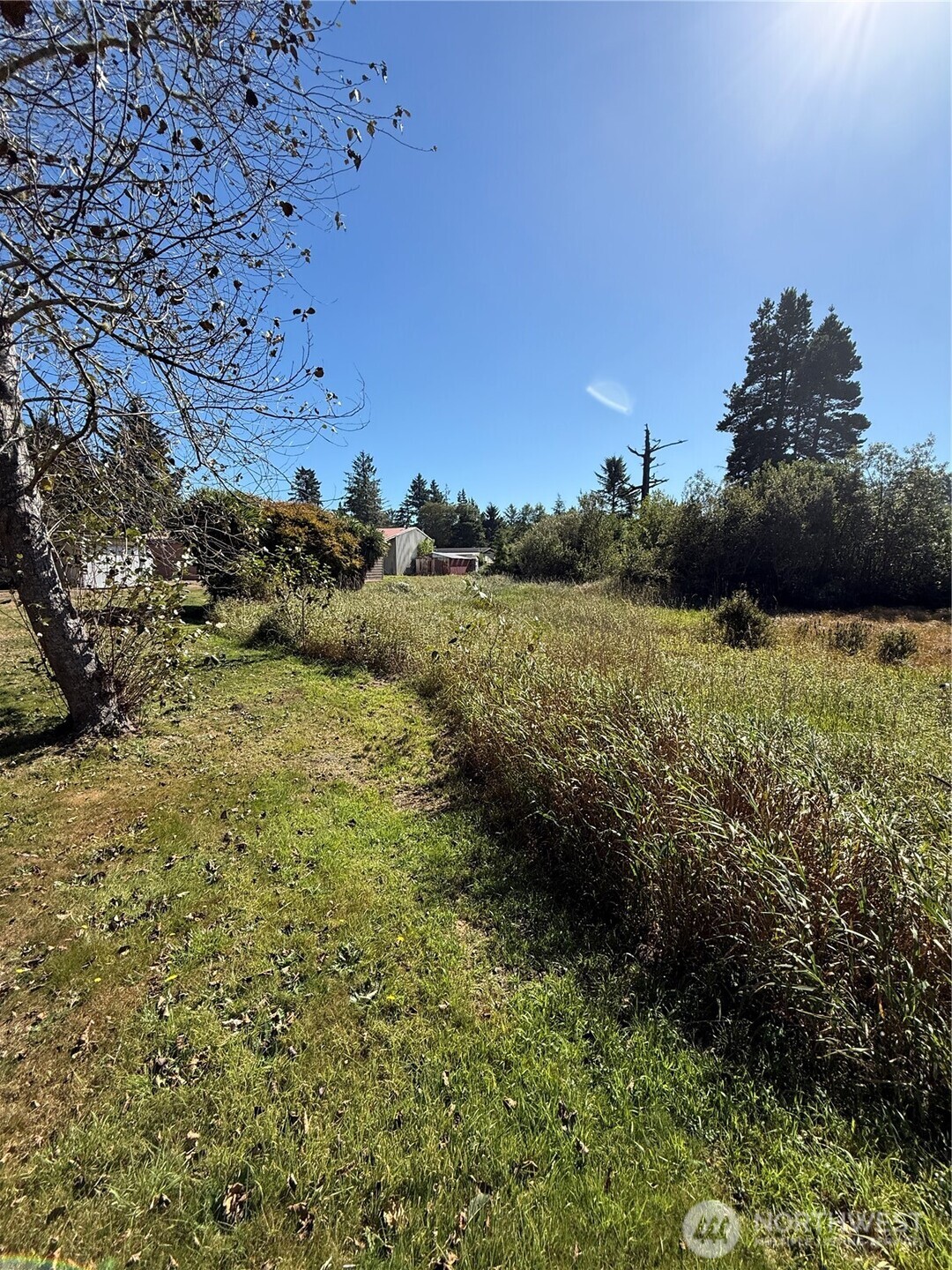 0 245th Lane , Ocean Park, WA 98640