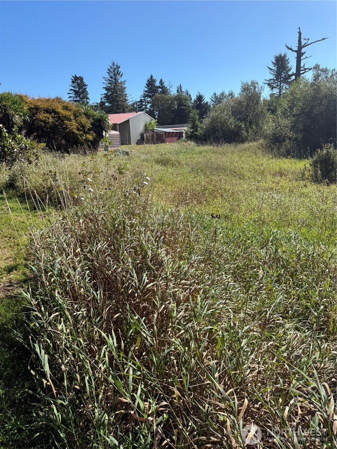 0 245th Lane , Ocean Park, WA 98640