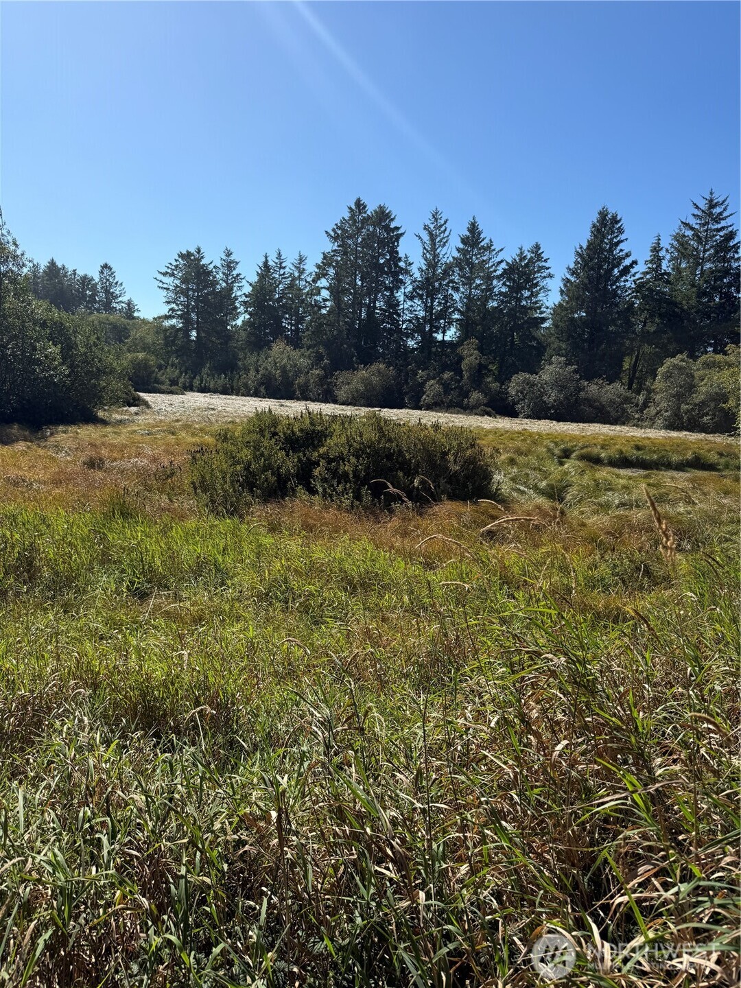 0 245th Lane , Ocean Park, WA 98640