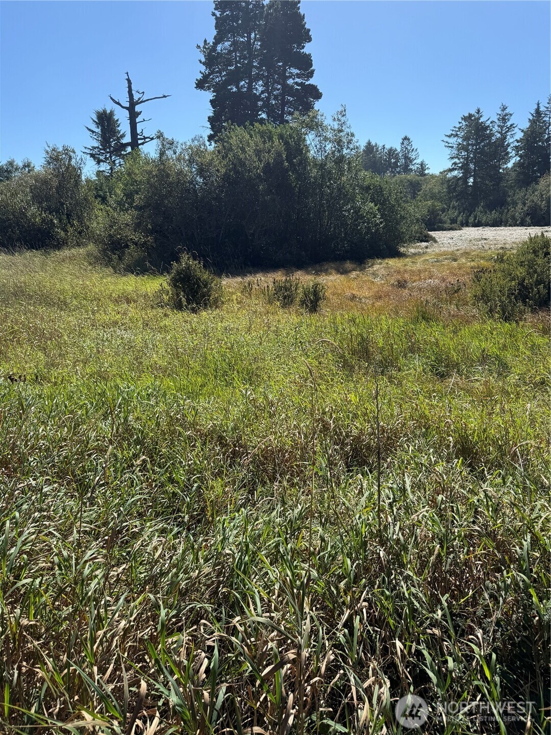 0 245th Lane , Ocean Park, WA 98640