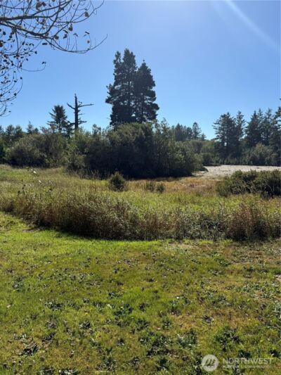 0 245th Lane , Ocean Park, WA 98640 - Photo 9