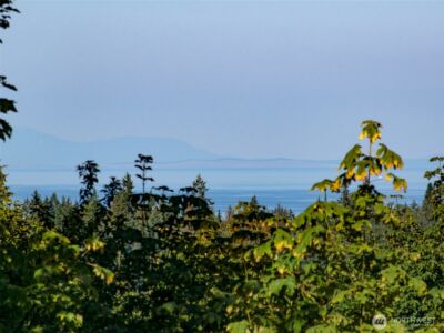 16 Owl Lane , Port Angeles, WA 98362 - Photo 38