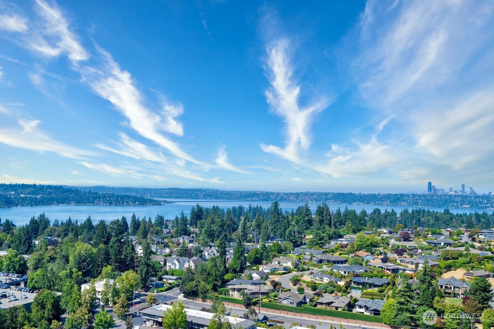 10232 NE 10th Street #1207, Bellevue, WA 98004