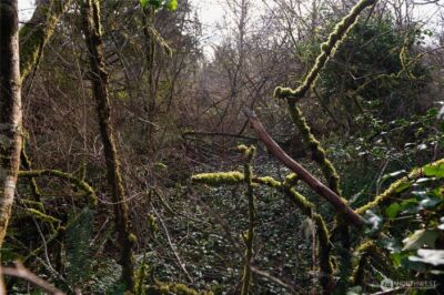 0 E Schley Street , Aberdeen, WA 98520 - Photo 4