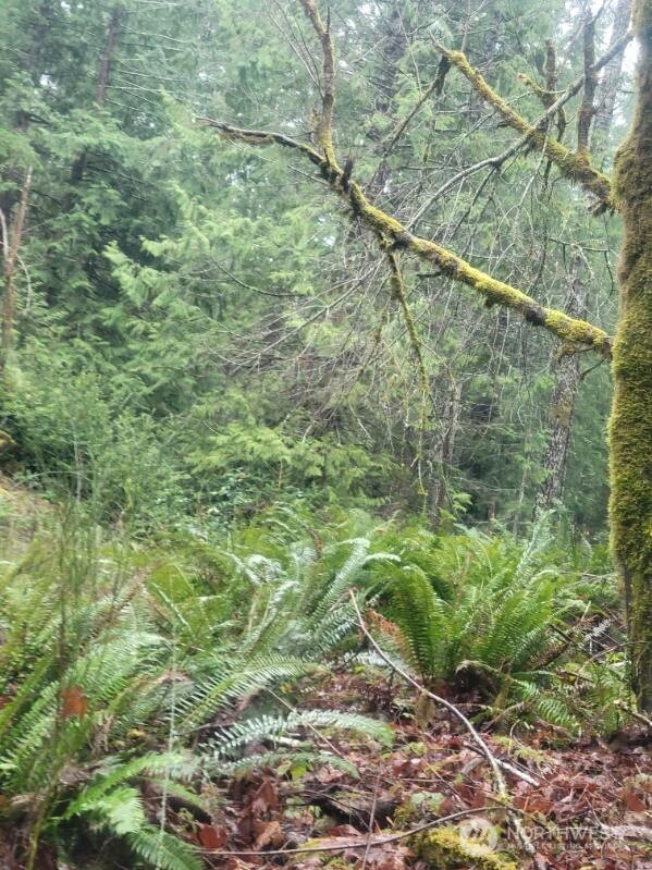 1 GD 2048 Rd , Union, WA 98592-9665