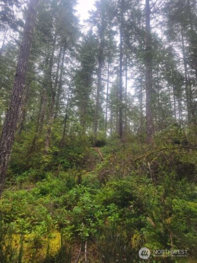 1 GD 2048 Rd , Union, WA 98592-9665 - Photo 2