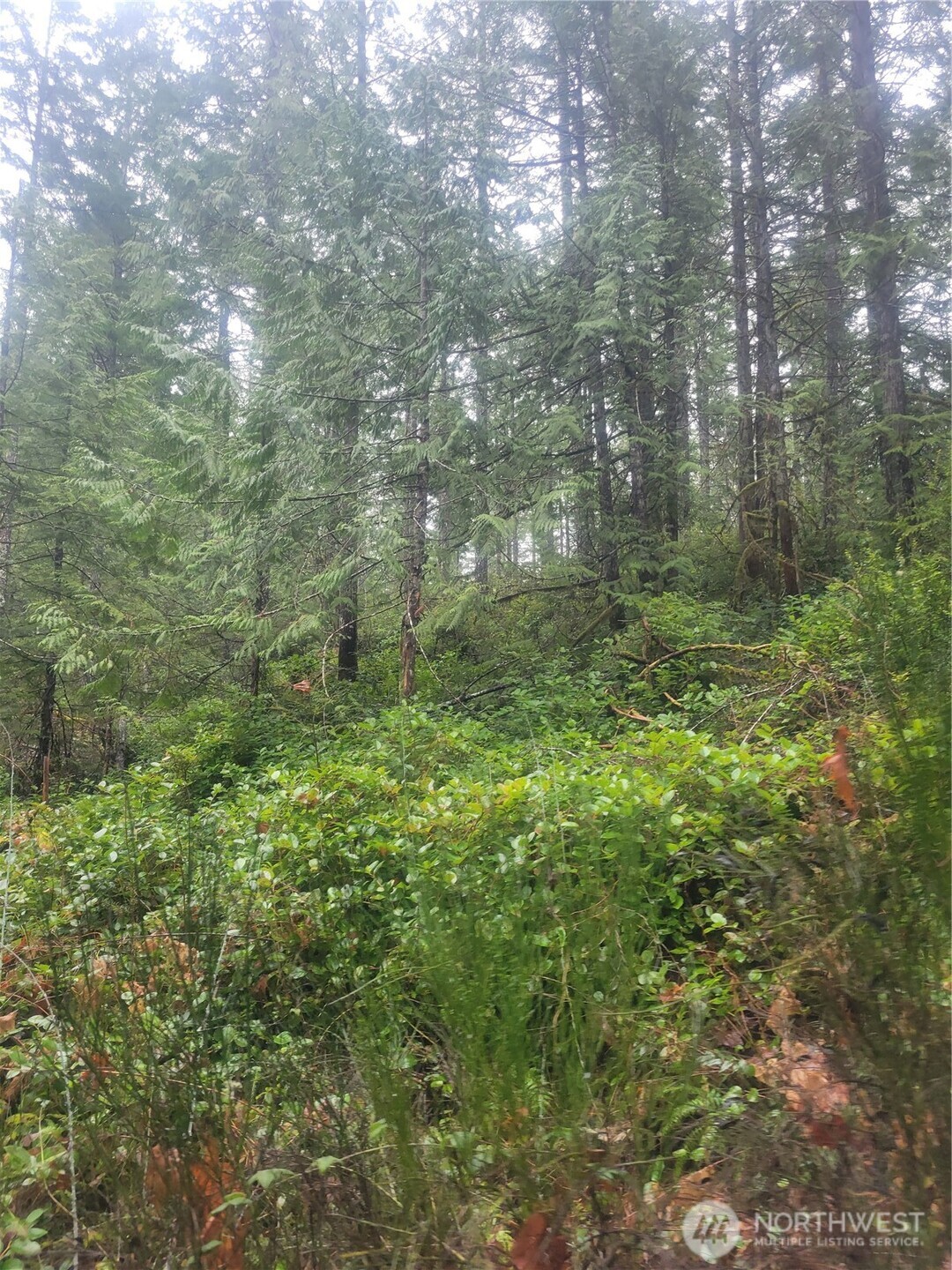 1 GD 2048 Rd , Union, WA 98592-9665