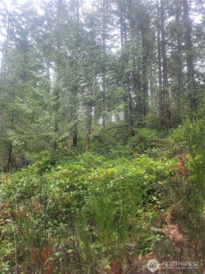 1 GD 2048 Rd , Union, WA 98592-9665 - Photo 4