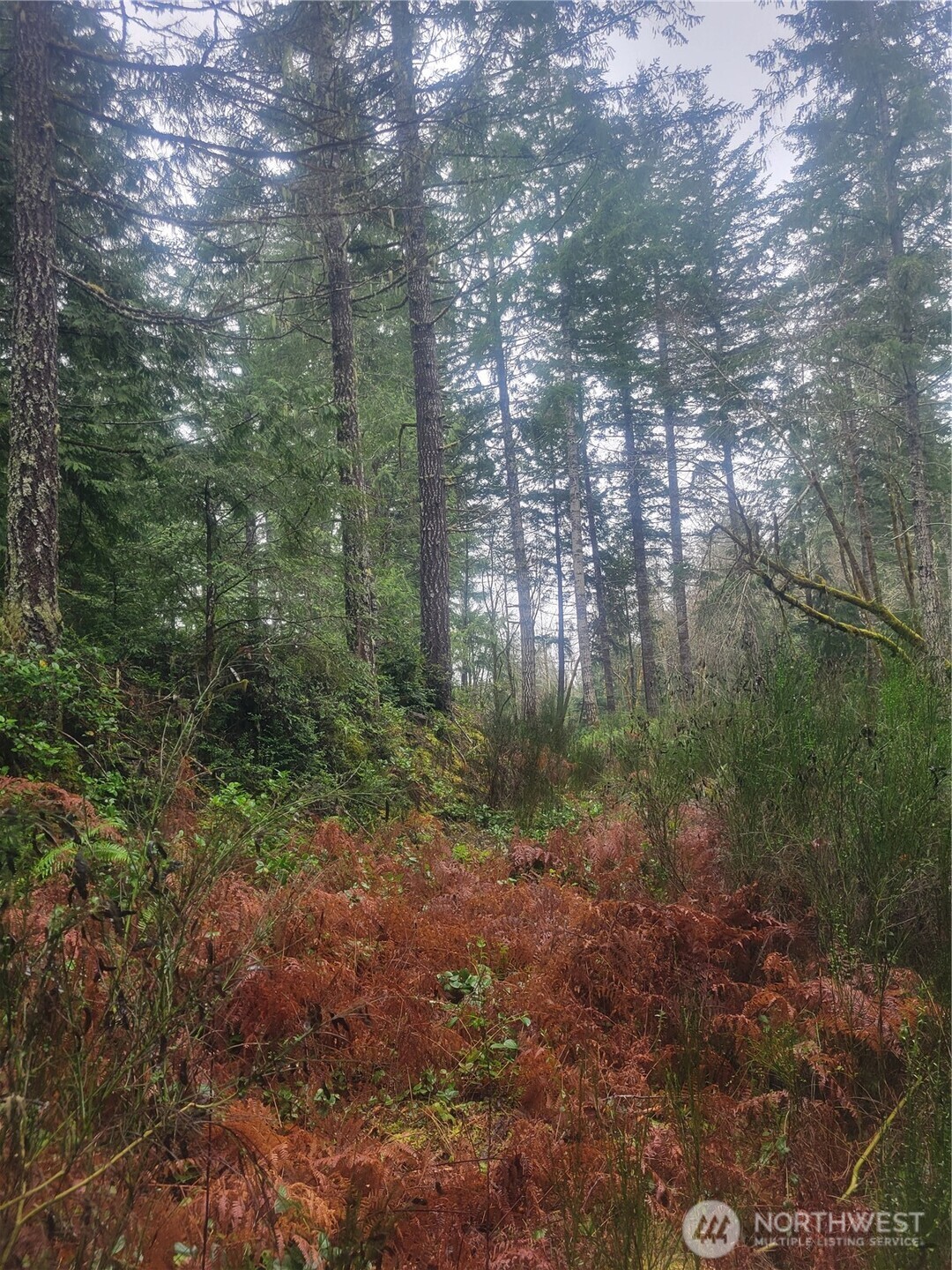 1 GD 2048 Rd , Union, WA 98592-9665