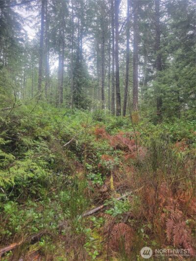 1 GD 2048 Rd , Union, WA 98592-9665 - Photo 6