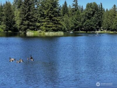 20 E Totten Place , Shelton, WA 98584 - Photo 25