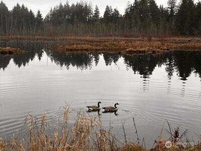 20 E Totten Place , Shelton, WA 98584 - Photo 29