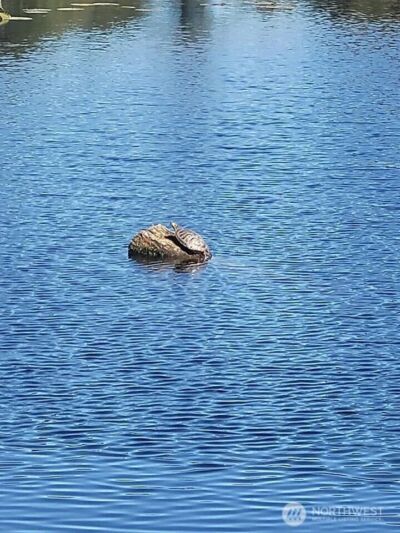 20 E Totten Place , Shelton, WA 98584 - Photo 33