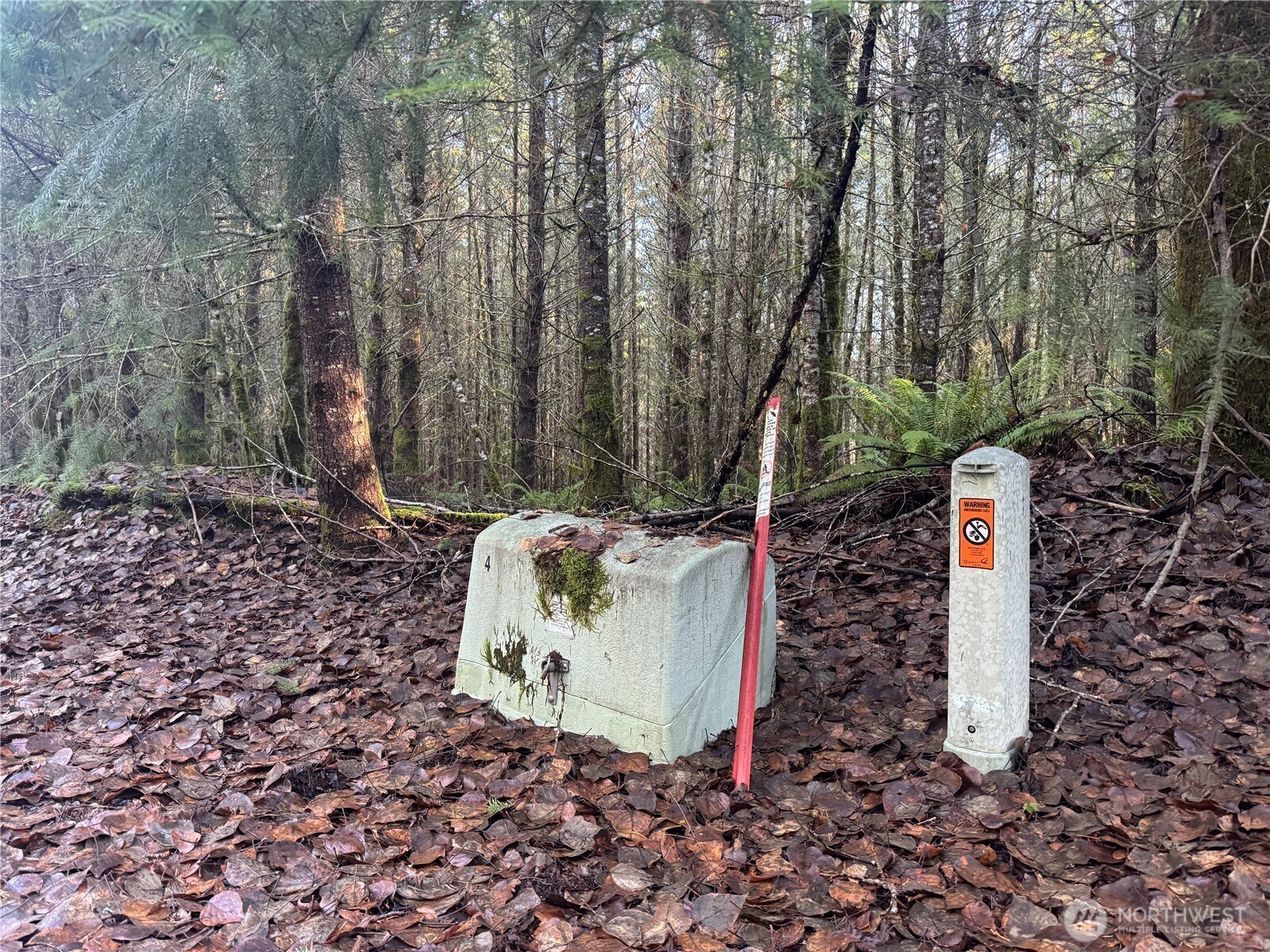 233 Shy Bear Road , Toutle, WA 98649