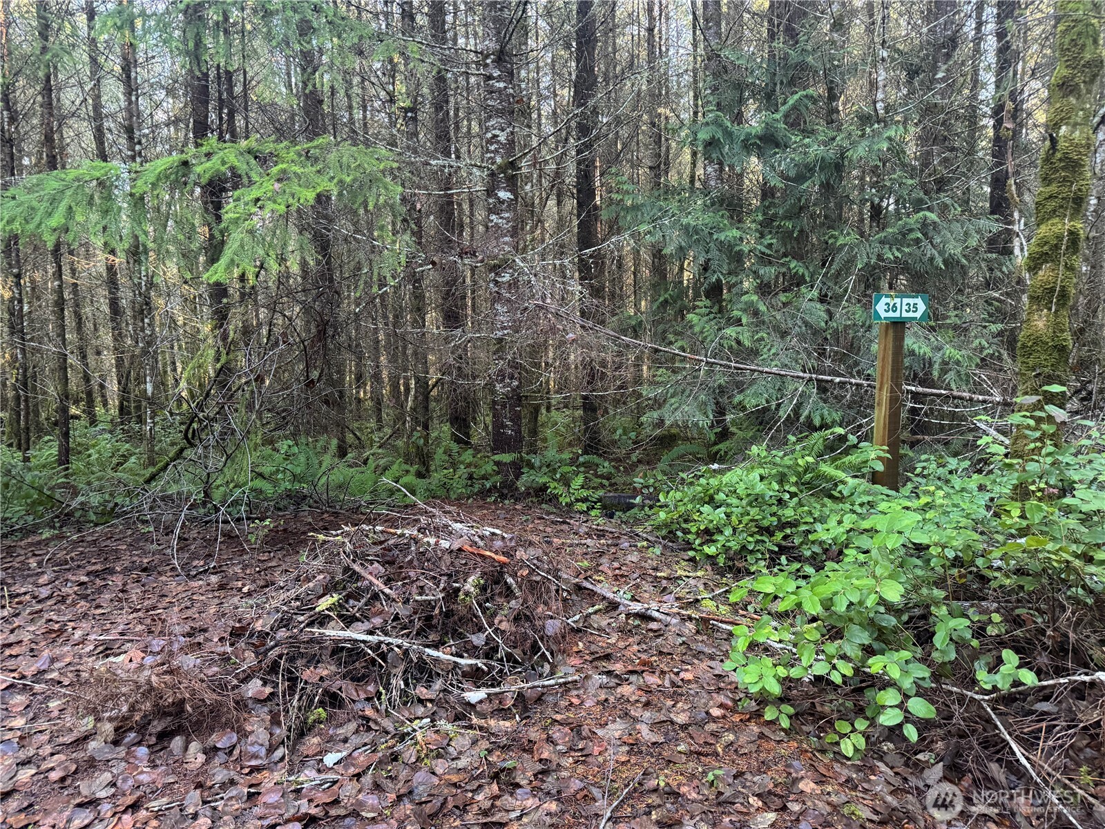 233 Shy Bear Road , Toutle, WA 98649