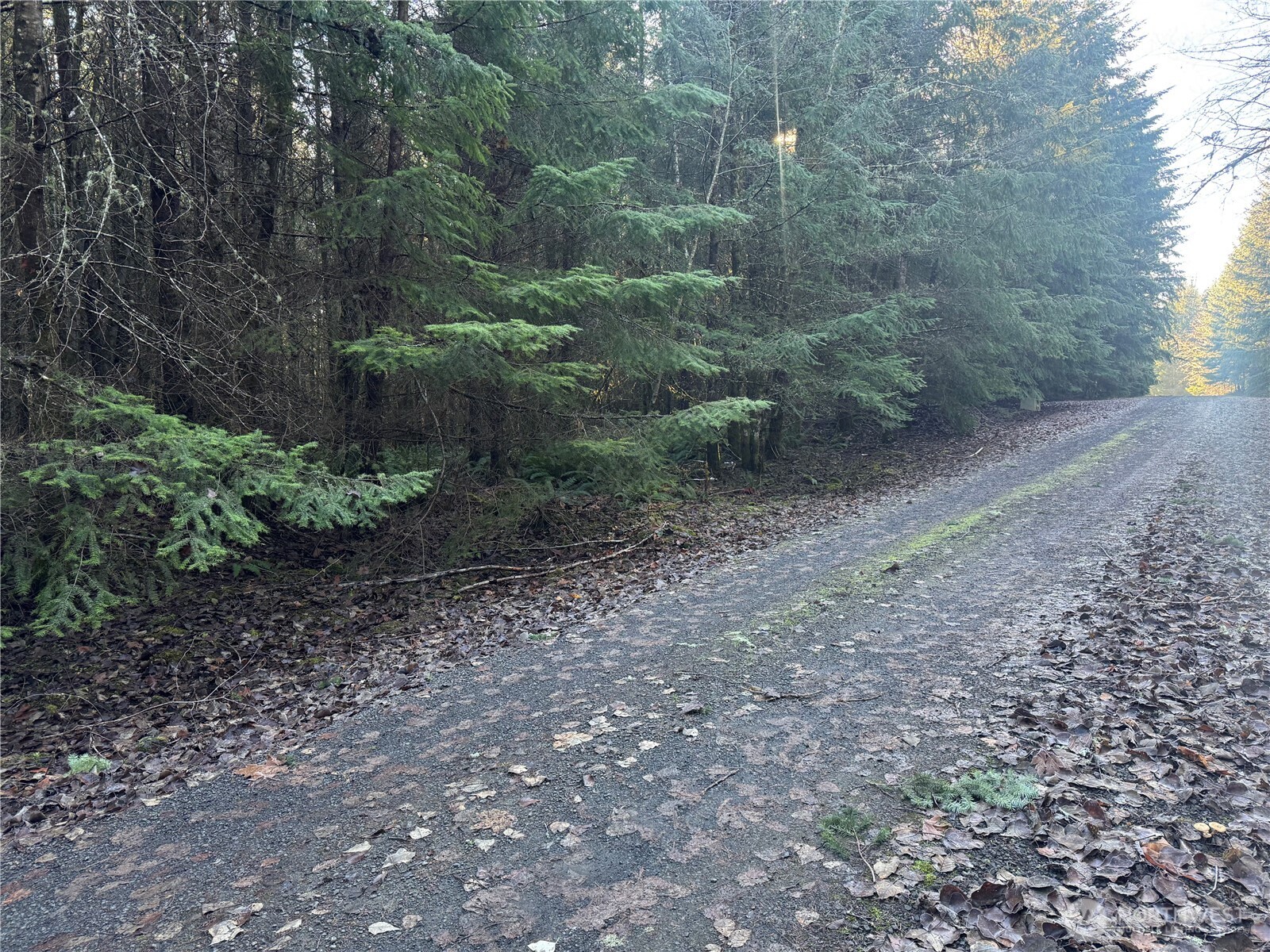 233 Shy Bear Road , Toutle, WA 98649