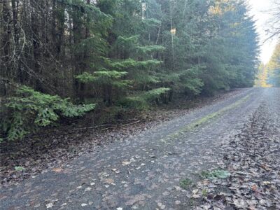233 Shy Bear Road , Toutle, WA 98649 - Photo 5