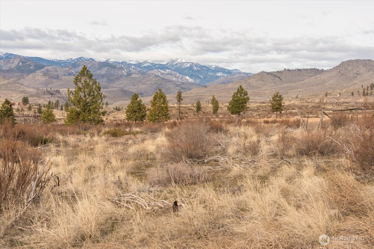 817 Bill Shaw Road , Methow, WA 98834