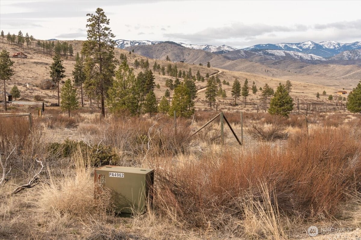 817 Bill Shaw Road , Methow, WA 98834