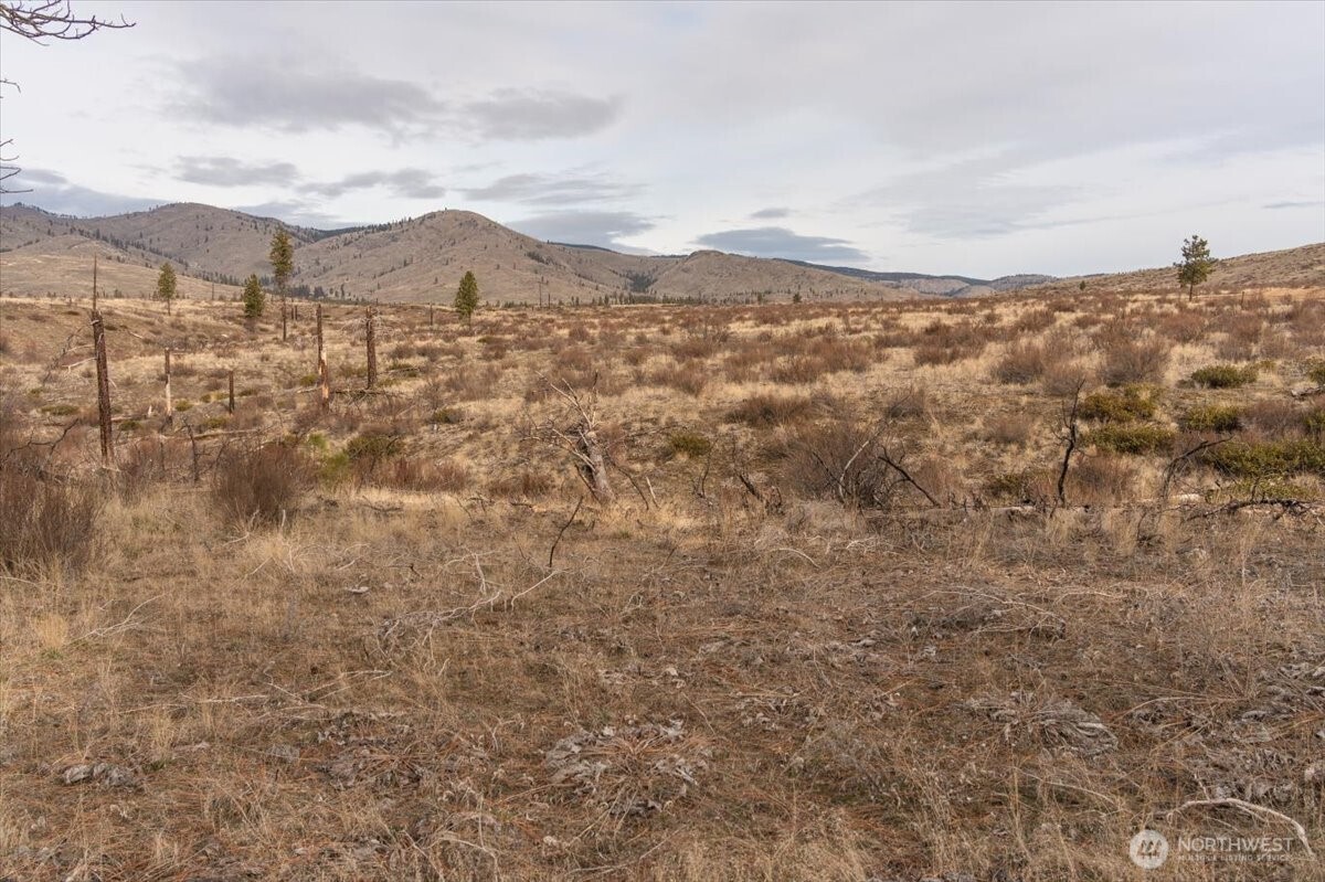 817 Bill Shaw Road , Methow, WA 98834