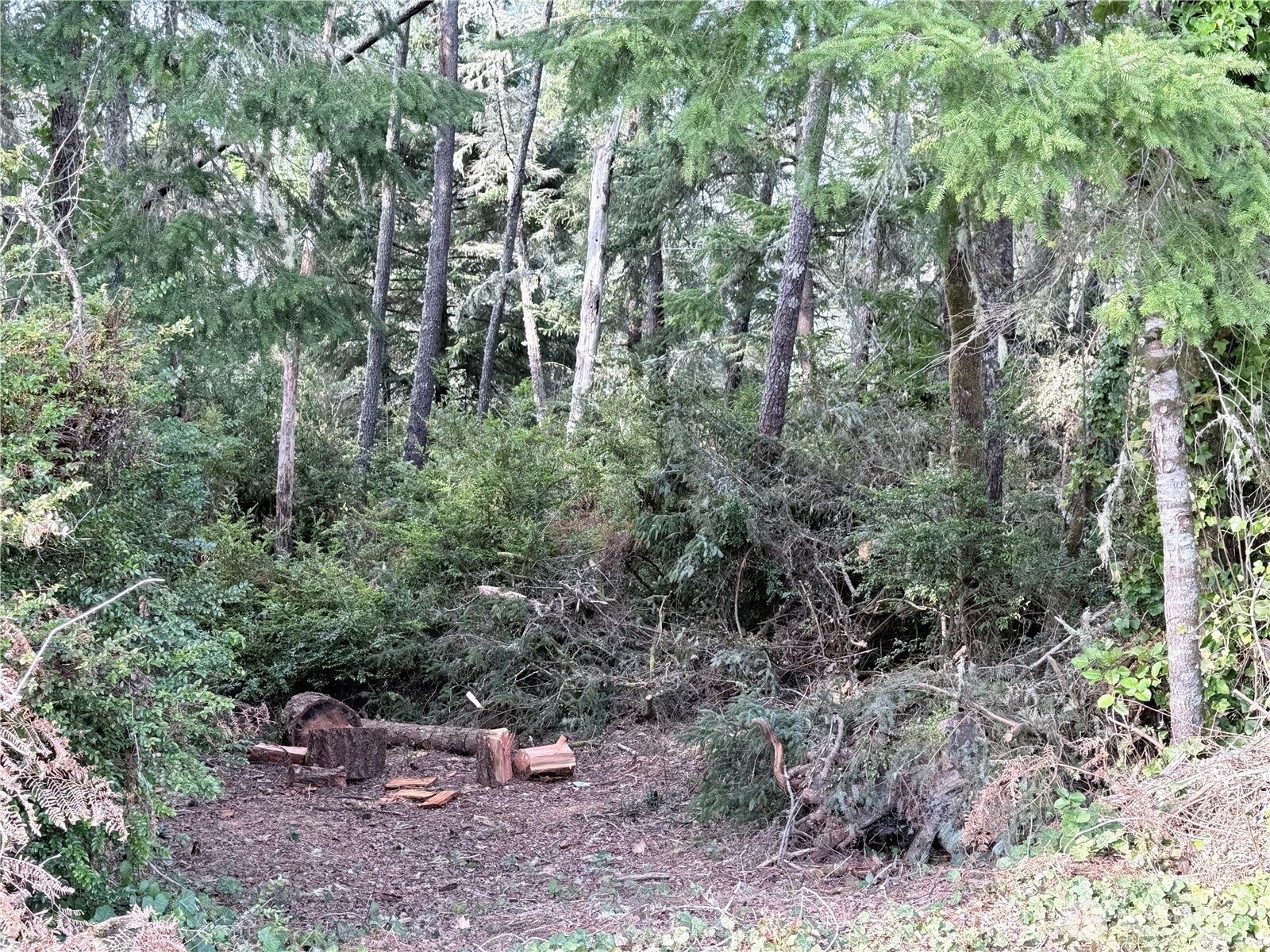 0 U Street , Ocean Park, WA 98640