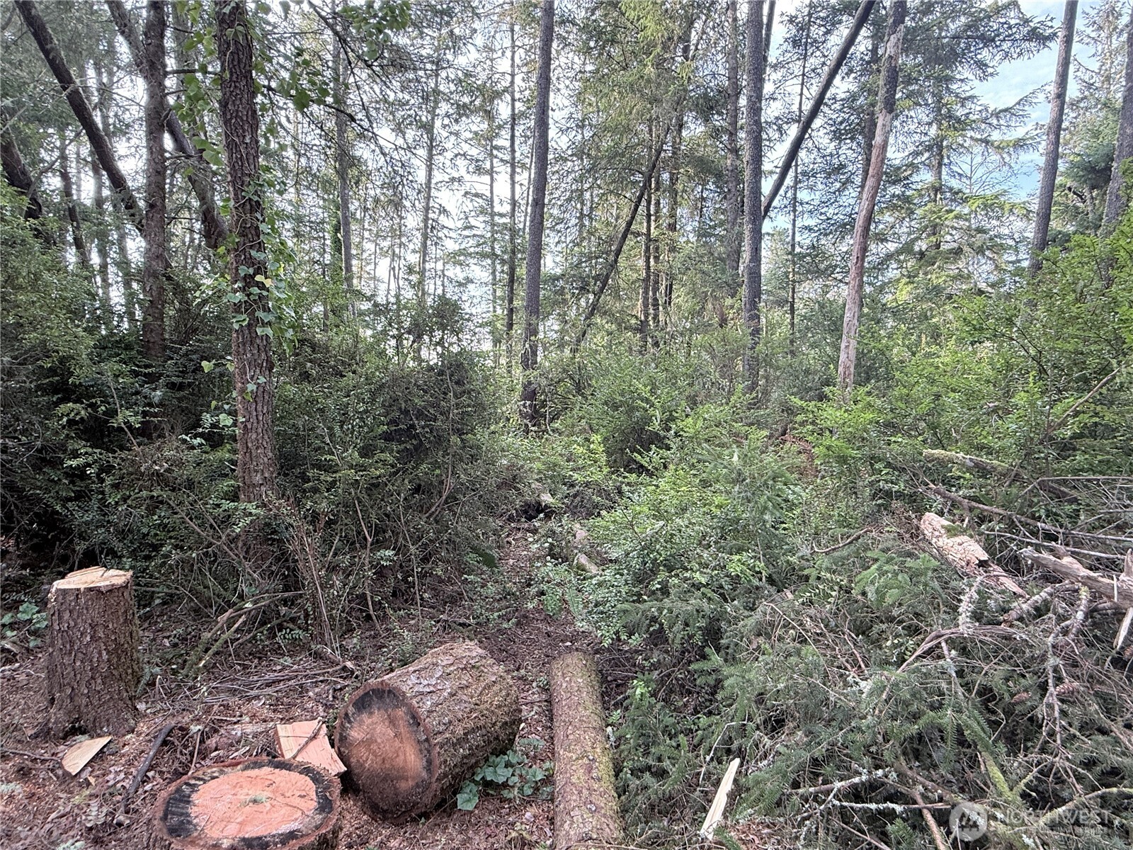 0 U Street , Ocean Park, WA 98640