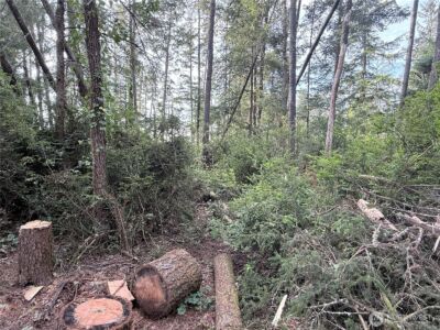 0 U Street , Ocean Park, WA 98640 - Photo 4