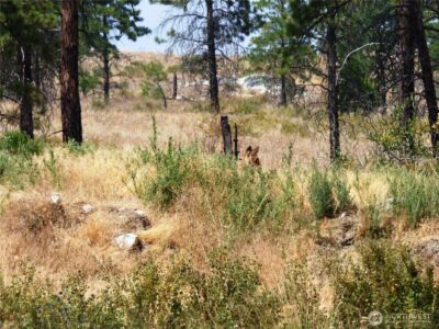 0 Mountain Point Rd , Brewster, WA 98812 - Photo 5