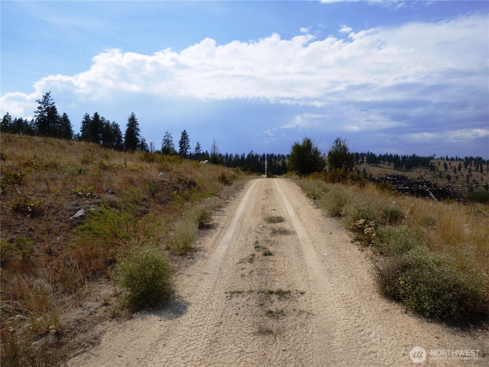 0 Mountain Point Rd , Brewster, WA 98812