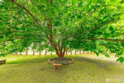 1470 State Route 174 , Grand Coulee, WA 99133 - Photo 32