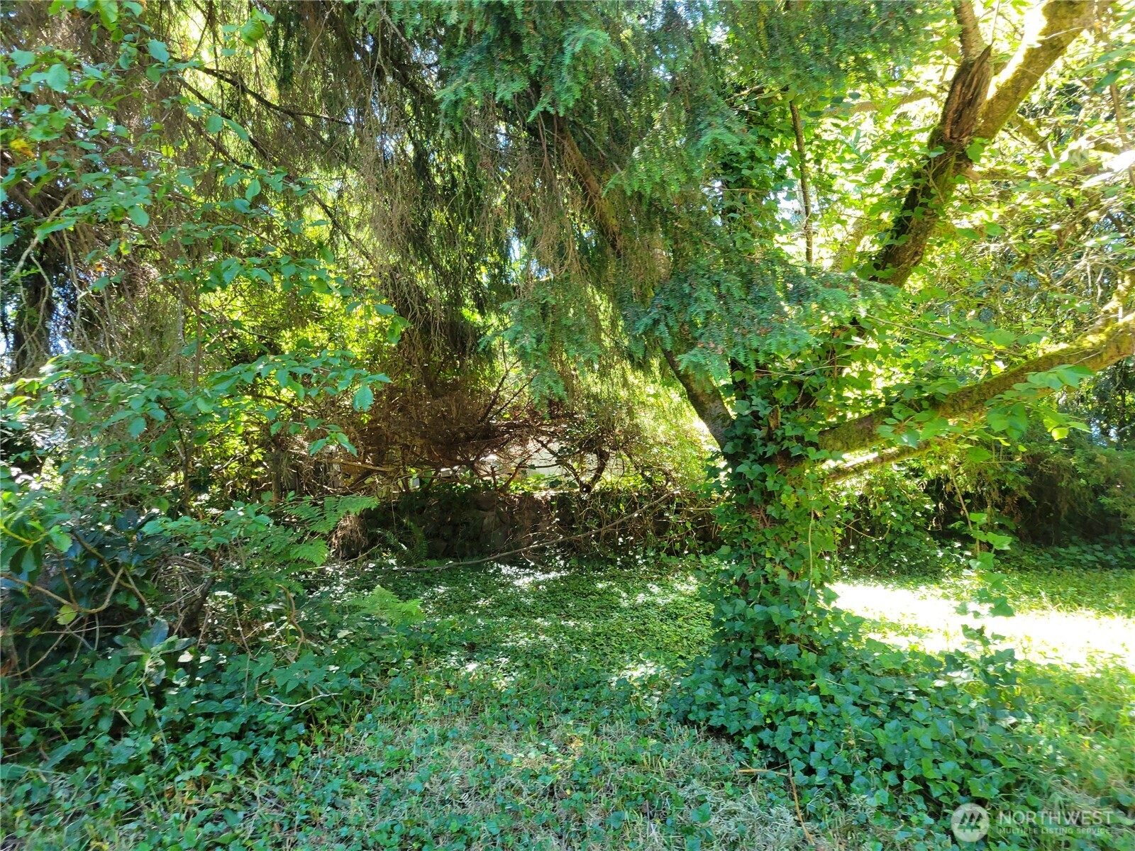 1818 Jackson Drive NW, Bremerton, WA 98312