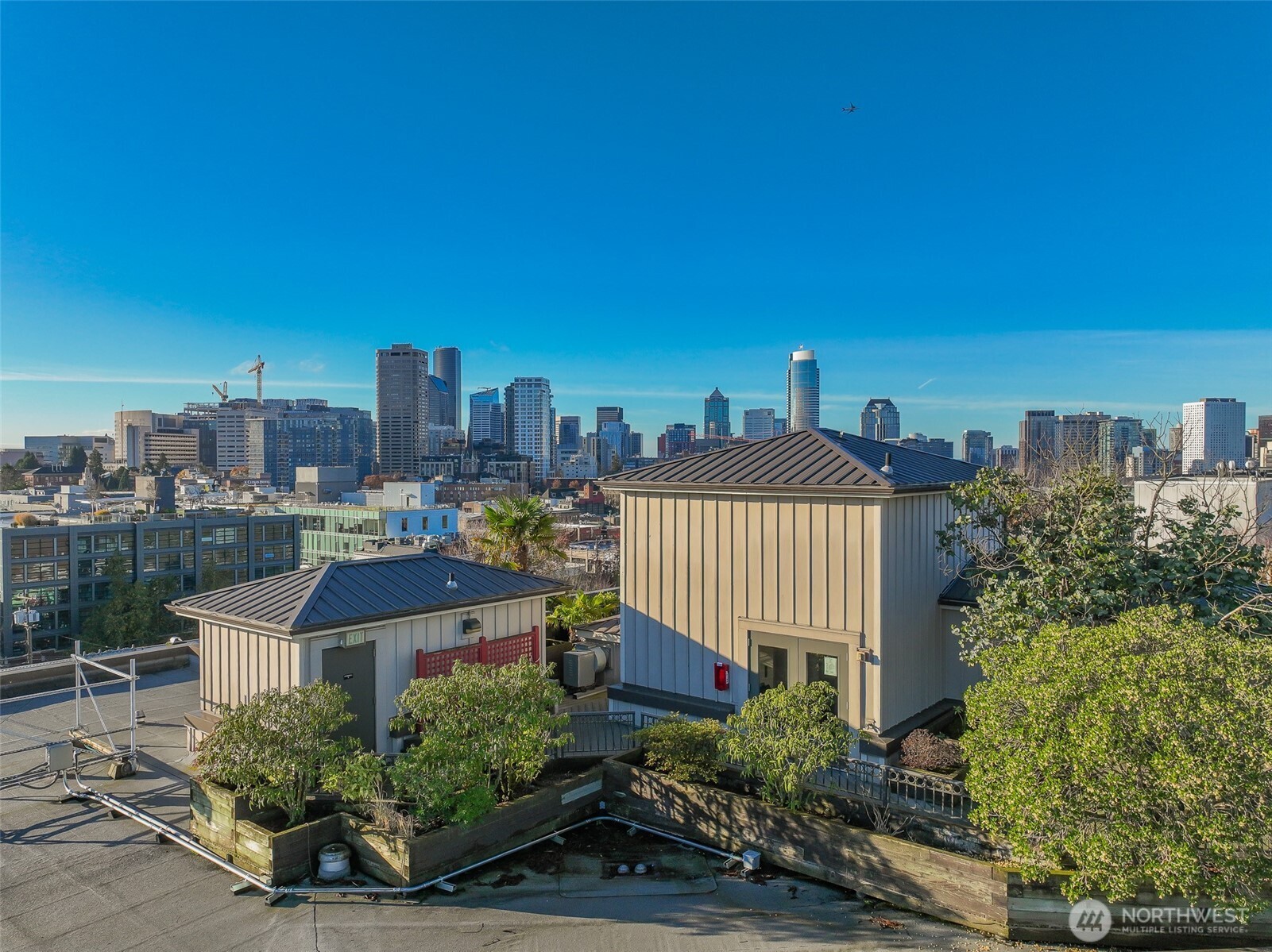 1125 E Olive Street #212, Seattle, WA 98122