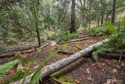 1020 Piedmont Place , Bellingham, WA 98229 - Photo 31