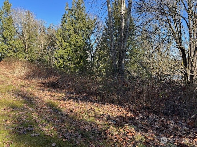 57 XX 188th Avenue NE, Redmond, WA 98053