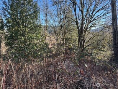 57 XX 188th Avenue NE, Redmond, WA 98053 - Photo 2